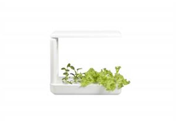 Indoor Gardening K-Box System mit 12 Pflanzmöglichkeiten