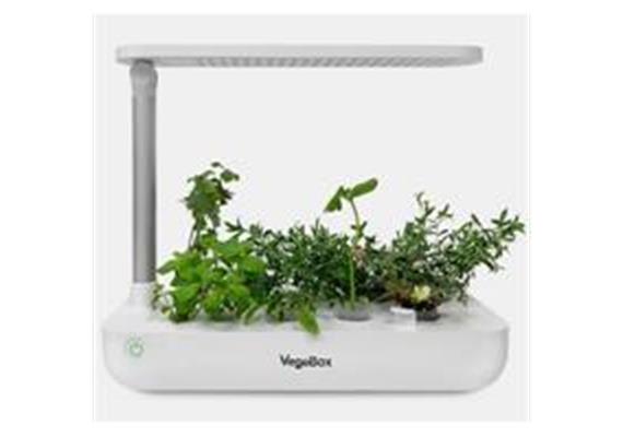 Indoor Gardening T-Box System mit 9 Pflanzmöglichkeiten